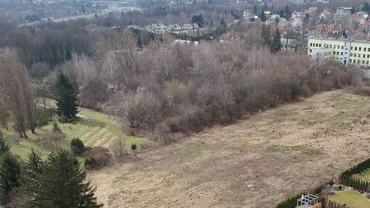 Deweloperzy w sutannach? Zakonnicy z Lublina chcą stawiać domy koło Ogrodu Botanicznego