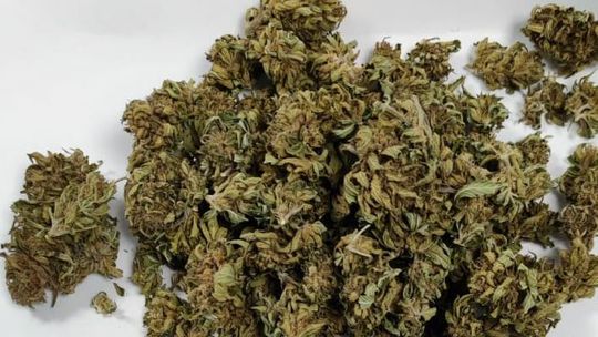 Diler nie trzymał „ciśnienia”