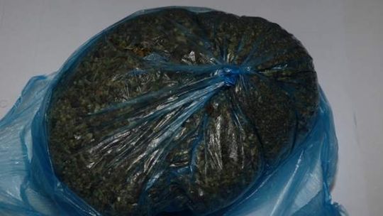 Dilerzy zatrzymani, przewozili w samochodzie 300 g marihuany