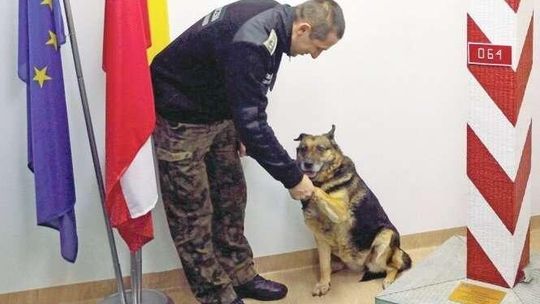 Dina odetchnie od narkotyków po 10 latach służby