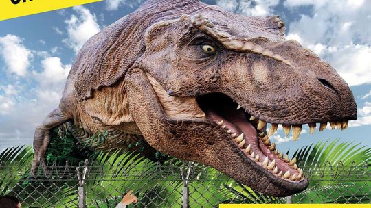 Dino Expo. Wystawa dinozaurów i żywe pająki w Targach Lublin