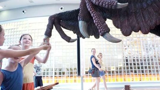 Dinozaury w galerii Atrium Felicity
