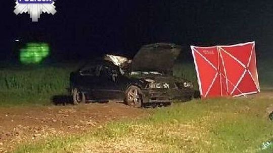 DK 19: Samochód zderzył się z łosiem. Nie żyje 19-letni kierowca