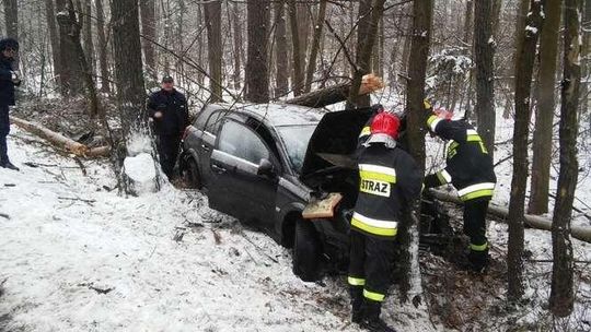 DK19. Kierowca wjechał w drzewo