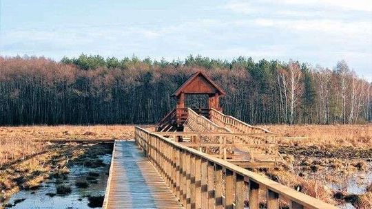 Dla ornitologów i miłośników wędrówek. Powstała nowa ścieżka na bagnach