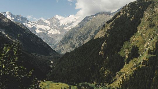 Dlaczego czyste powietrze jest ważne? Odkrywamy tajemnice neutralizacji odorów!