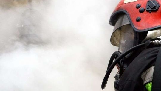 Dlaczego nie powinno się wypalać traw? To szkodliwe, karalne i można stracić dopłaty