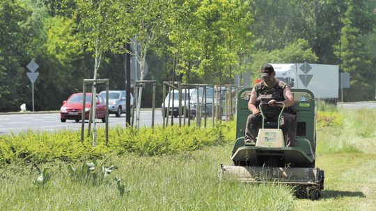 Dlaczego nie warto kosić. Łąki przy drogach nie tylko pachną i ładnie wyglądają 