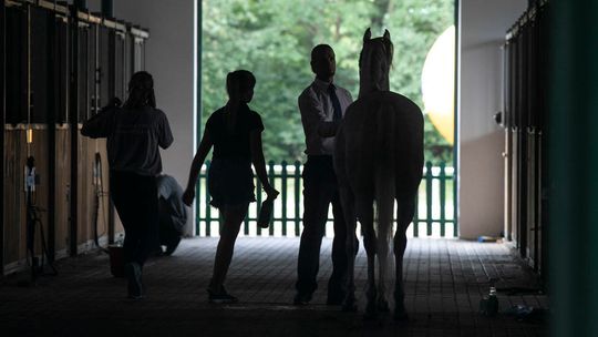 Dlaczego prezes rzucił pracę? Kulisy zmian w stadninie Janów Podlaski