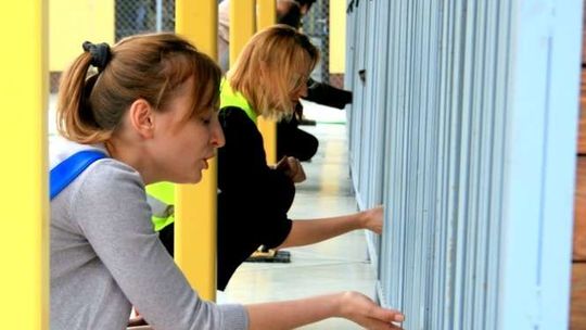 Dlaczego uśmiercono koty? Pracownica schroniska zarzuca złą opiekę nad zwierzętami