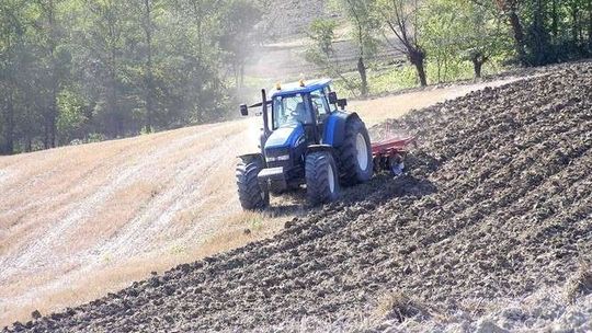 Dlaczego warto brać kredyty preferencyjne. Porady dla rolników