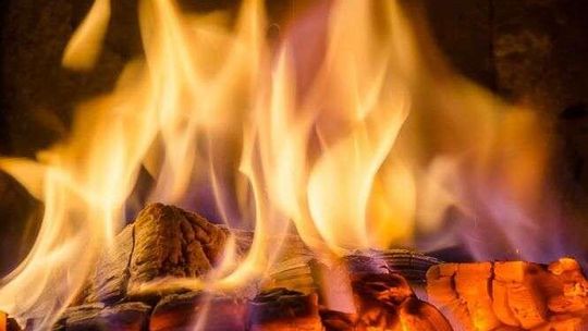 Dlaczego warto kupować węgiel w sklepach internetowych?