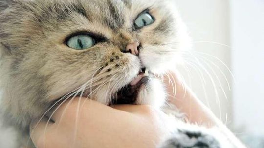 Dłuższy spacer na fundowany zabieg