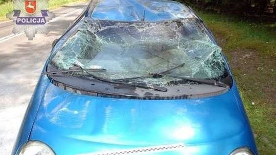 Do auta wpadł owad, samochód dachował. Dwie osoby w szpitalu