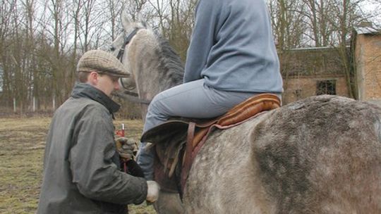 Do koni trzeba mieć serce