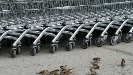 Do której w Wigilię będą czynne sklepy