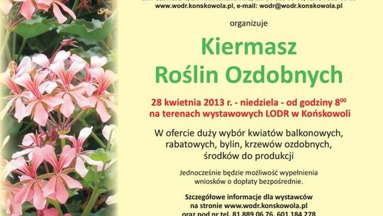 Do ogródka i na balkon. Kiermasz Roślin Ozdobnych w Końskowoli