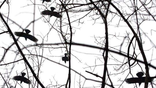 Do parku we Włodawie tylko z parasolem