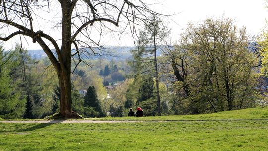 Do puławskich parków i skwerów wracają spacerowicze [zdjęcia]
