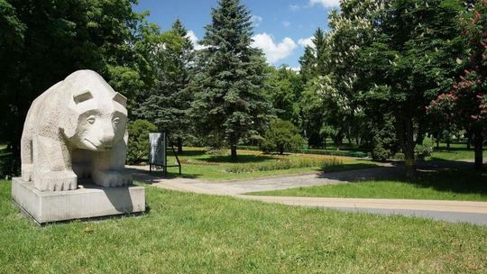 Do remontu parku w Chełmie trzeba dopłacić