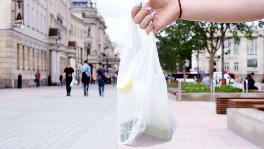 Do sklepu ze swoją siatką. Bezpłatne reklamówki znikną, albo będą bardzo drogie