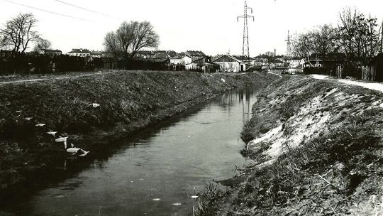 Do szkoły z romskimi dziećmi przez most na Czerniejówce