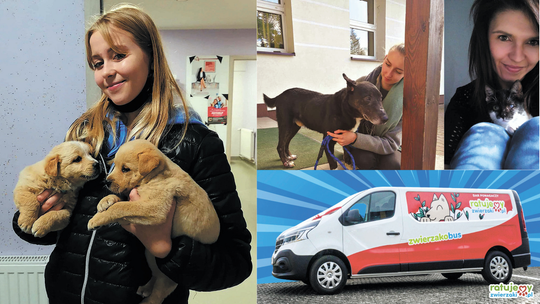 Dobrzy ludzie pomogą zwierzętom jeszcze lepiej. Fundacja z Puław wygrała zwierzakobus