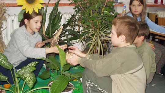 Doceniona przez prezydenta