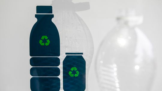Dochodowy trend narodowy. System kaucyjny zmienił podejście Polaków do recyklingu, pora go uszczelnić