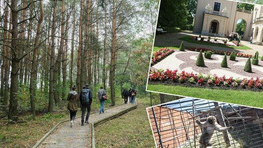 Dokąd na świąteczny spacer w Lublinie i regionie?