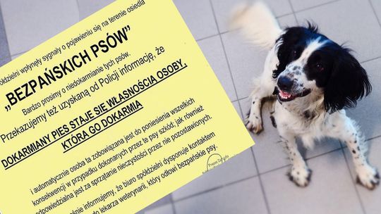 "Dokarmiasz, bierzesz psa". Było ogłoszenie, teraz są przeprosiny. "To nie jest zgodne z prawem"