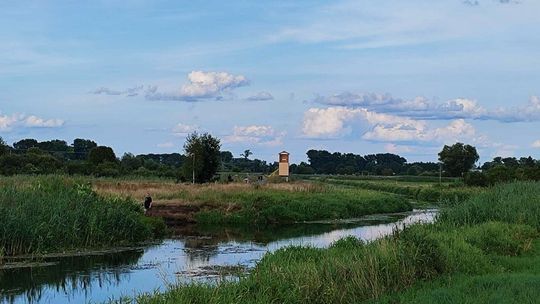 Dolina Krzny: plaża i przystań kajakowa