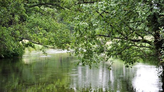 Dolina Rospudy - 100 milionów zł ożywiło region (zdjęcia)