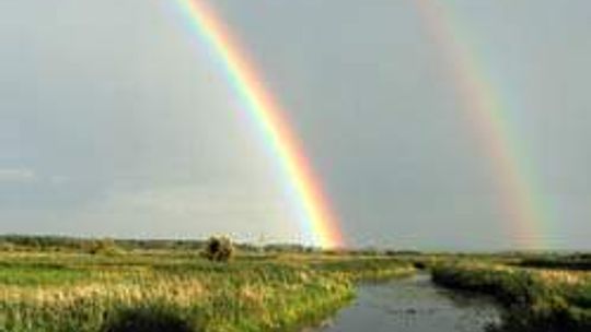 Dolina Tyśmienicy (nr 62) - 2 głosy