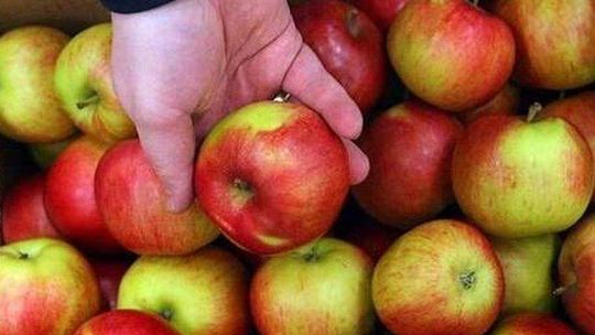 Dolina Zielawy: Owoce, warzywa i zioła trafią do przetwórni. Za unijną kasę?