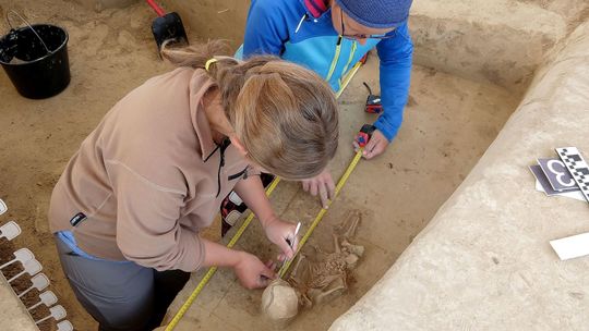"Dom zmarłych" koło Hrubieszowa. Odnaleziono szczątki niemowląt