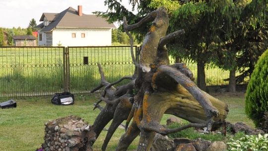 Donica spadła na sześciolatka. Dziecko zmarło