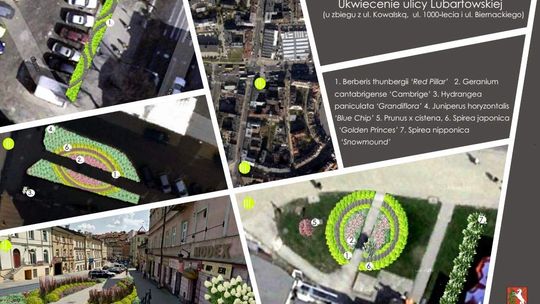Donice z drzewami na Krakowskim Przedmieściu, więcej kwiatów. Upiększają centrum Lublina