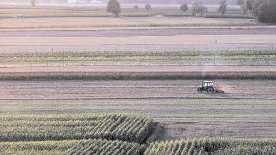 Dopłaty bezpośrednie 2019. Zaliczki dla niektórych rolników były mniejsze przez kontrole