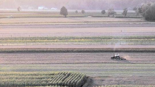 Dopłaty dla rolników 2021. W sobotę lubelskie biura ARiMR udzielają pomocy