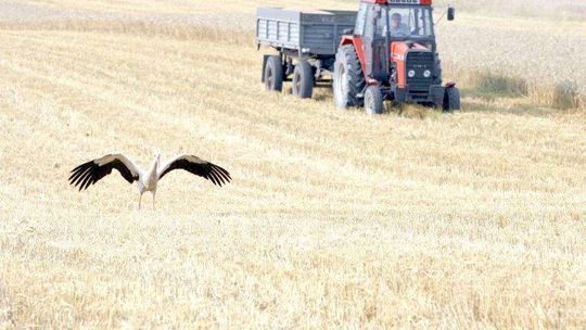 Dopłaty po nowemu. Można już składać wnioski