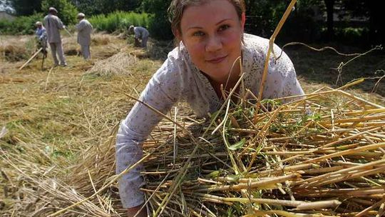 Dopłaty unijne dla rolników: Od dziś można składać wnioski