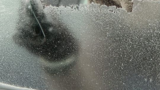 Dostał mandat, bo nie odśnieżył auta