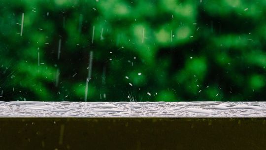 Dotacje na łapanie deszczówki. Można liczyć na wsparcie do 5 tys. zł