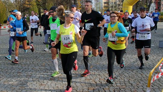 Dotacje na puławski sport podzielone. Kto dostanie najwięcej pieniędzy?