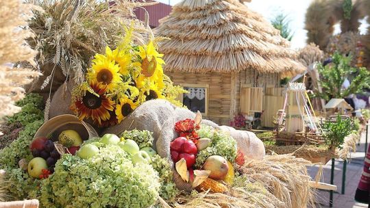 Dożynki Gminne na Zielonym Rynku w Konopnicy