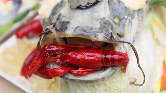 Dożynki Rybackie: Szczupak i sandacz palce lizać (zdjęcia)