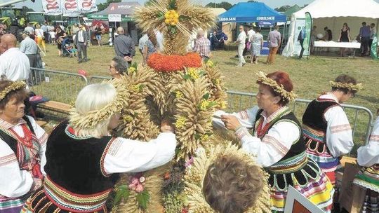 Dożynki wojewódzkie 2020. Przez koronawirusa zamiast zabawy będzie tylko msza