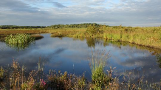 Dr hab. Joanna Czarnecka: Nowa kopalnia uruchomi efekt domina