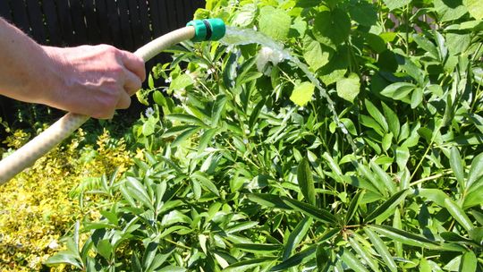 Dramatyczna sytuacja w gminach pod Lublinem. Jeszcze nie ma lata, a wody już brakuje